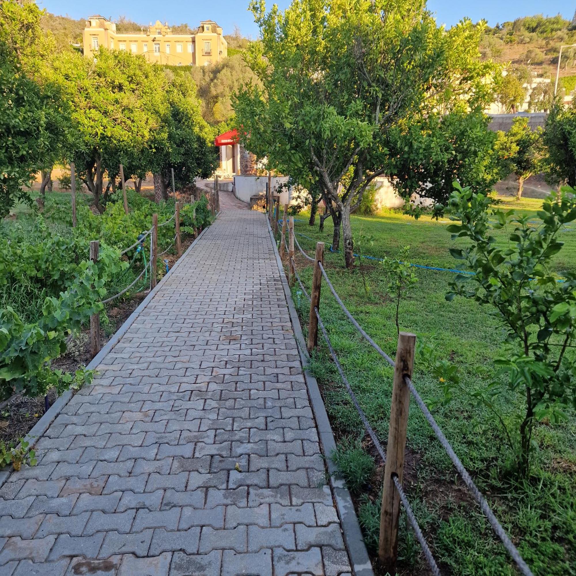 Ponte Romana Silves Εξωτερικό φωτογραφία